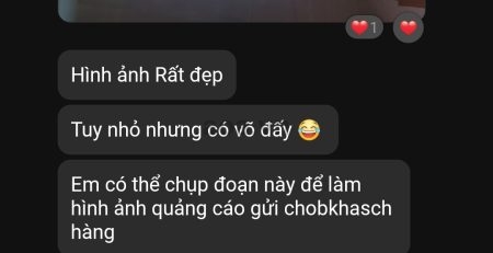 ccccdd